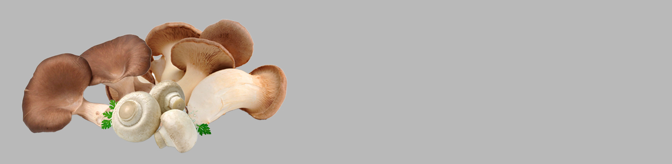 Грибы с нашей фермы