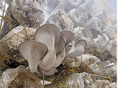 Первые результаты нашего труда