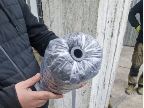 Старт грибного бизнеса: с чего мы начинали и как добились успеха