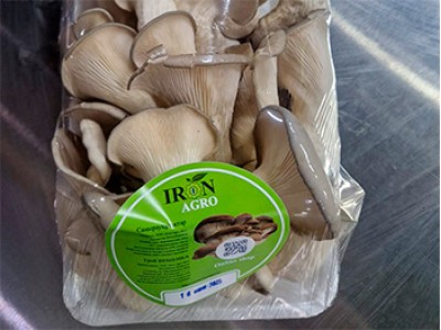 Успейте купить первыми!